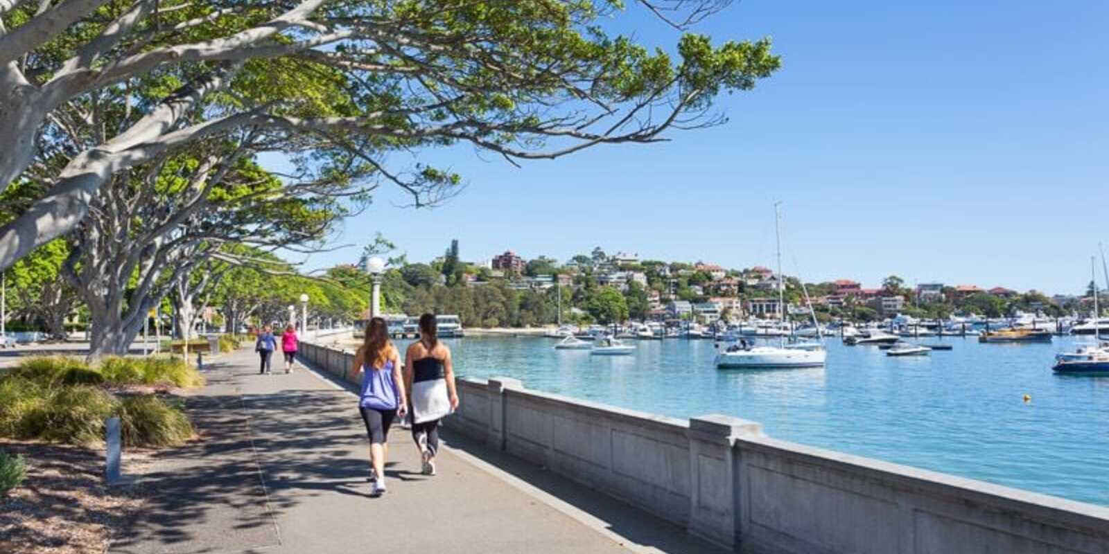 7/26 Balfour Road Rose Bay