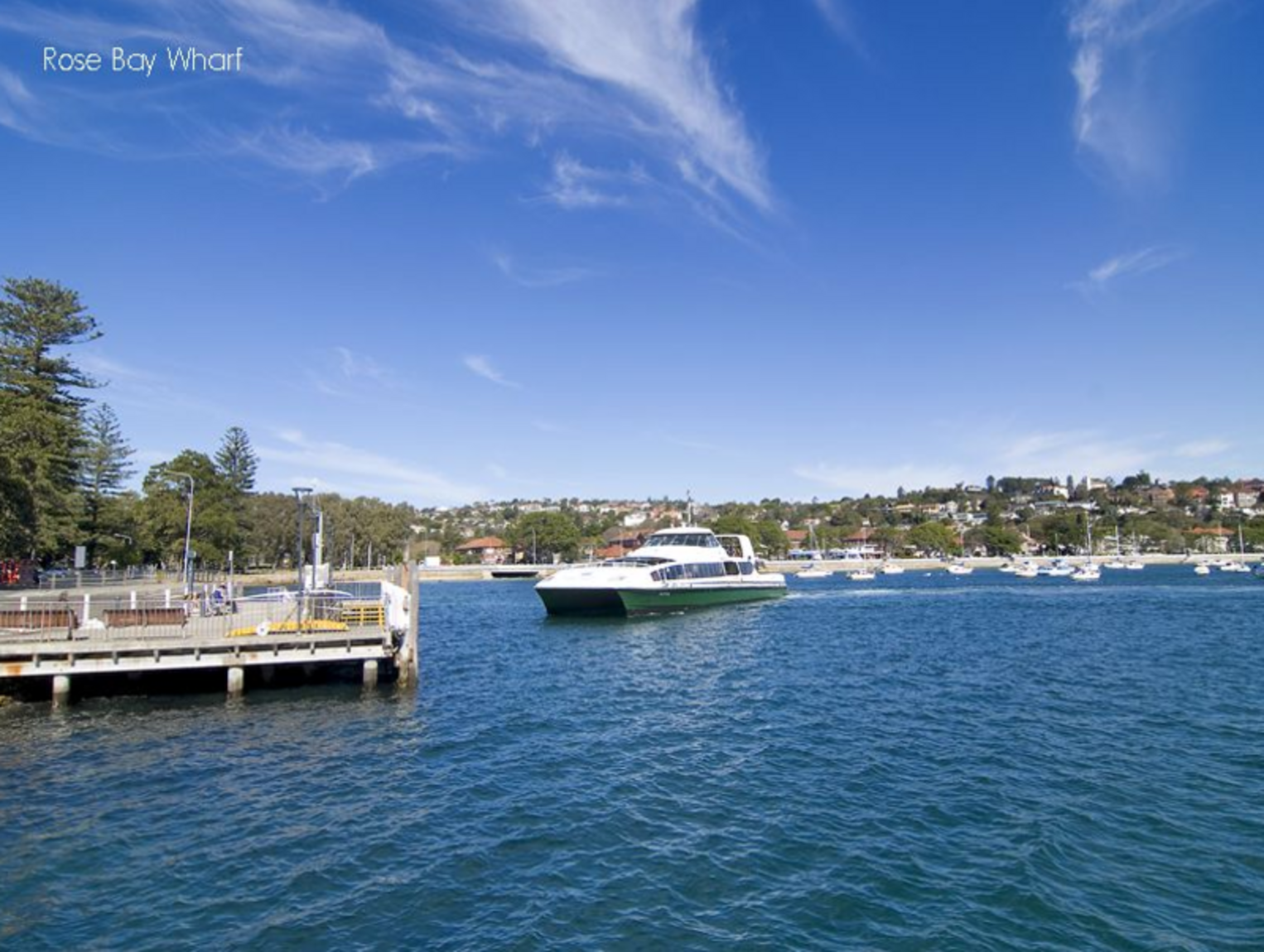 1/26 Balfour Road Rose Bay