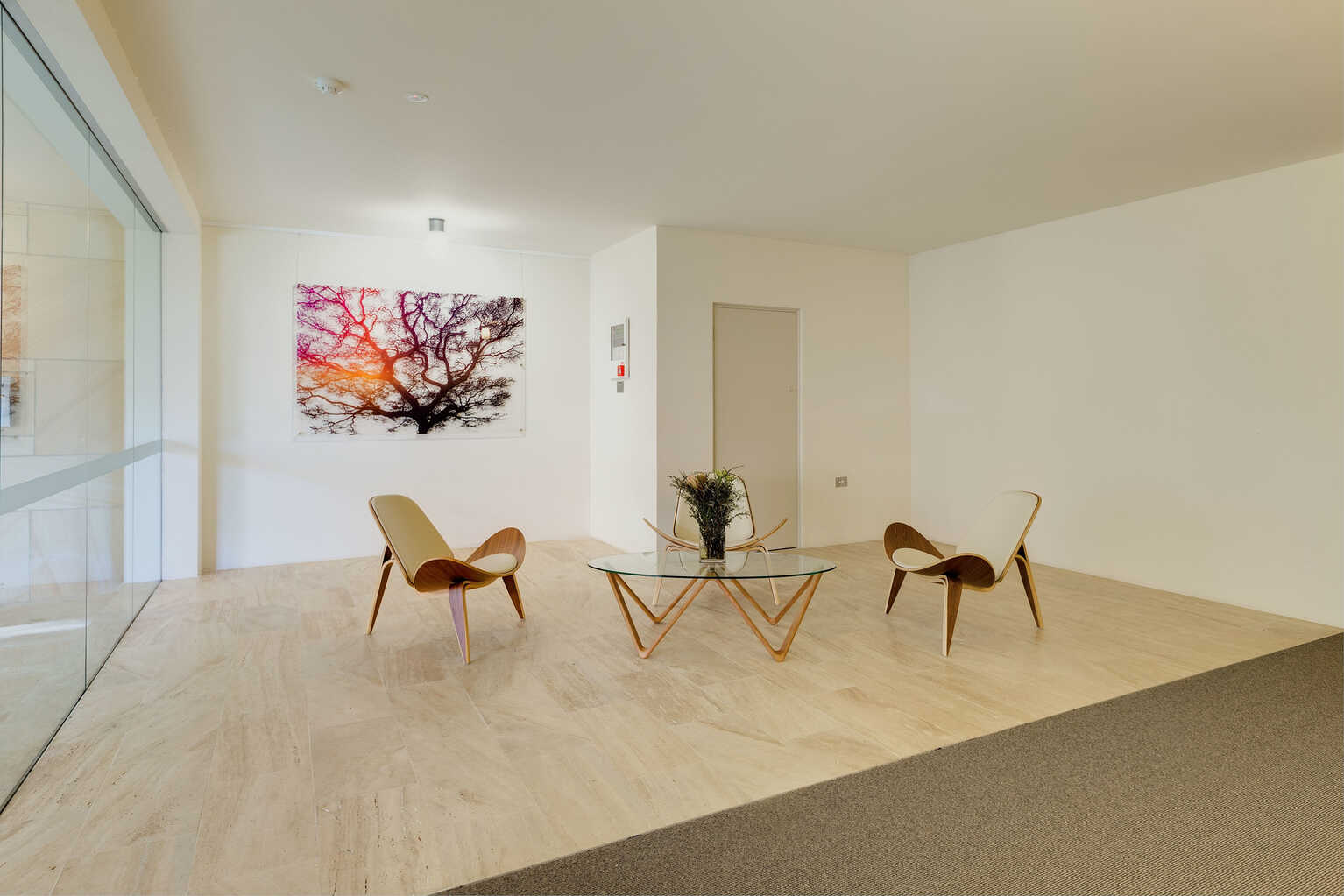 206/6A Birtley Place Elizabeth Bay 206/6A Birtley Place Elizabeth Bay
