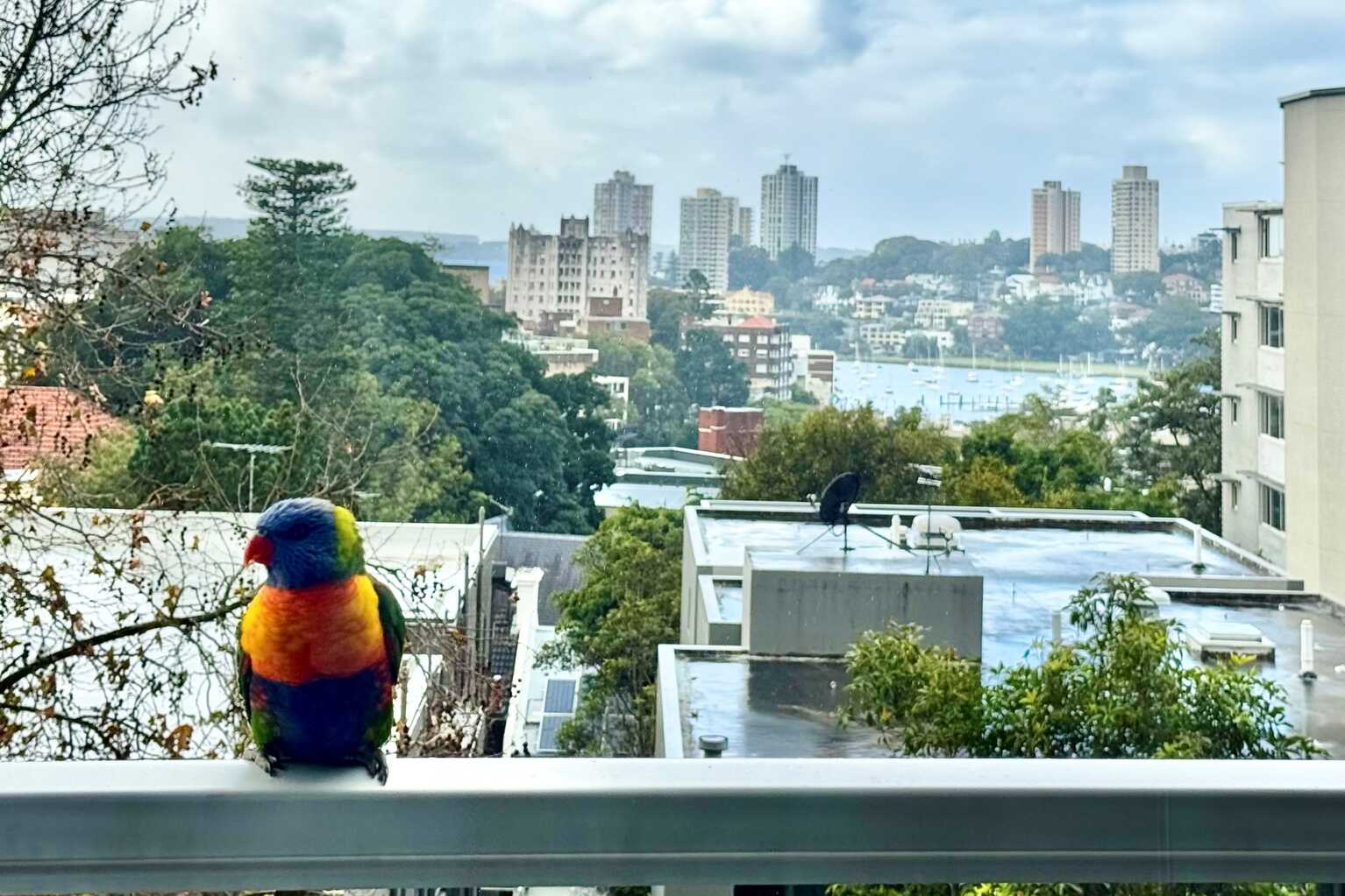 26/61 Bayswater Road Rushcutters Bay