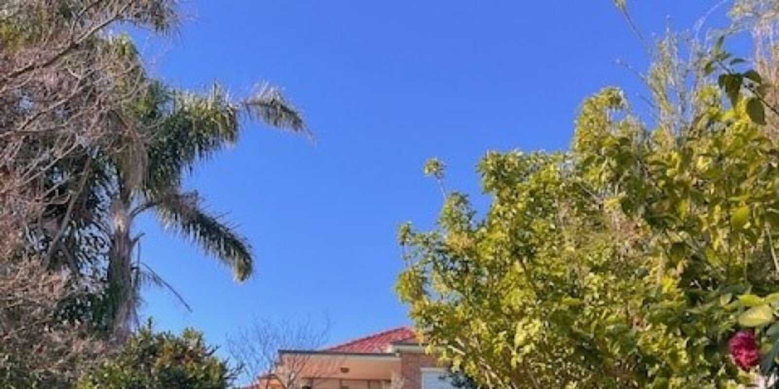 7 Derby Street Vaucluse