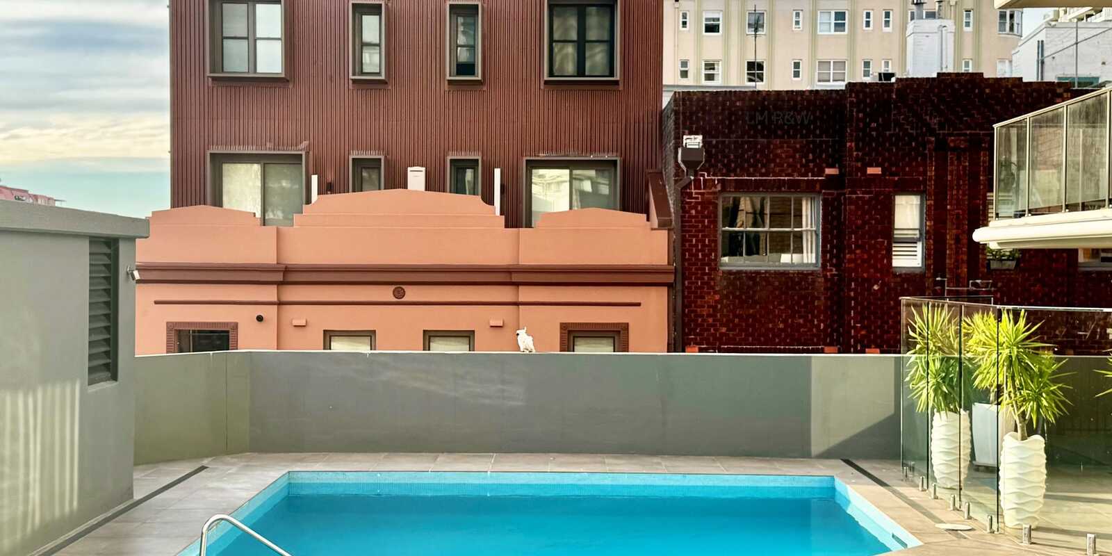 309/2 Springfield Avenue Potts Point
