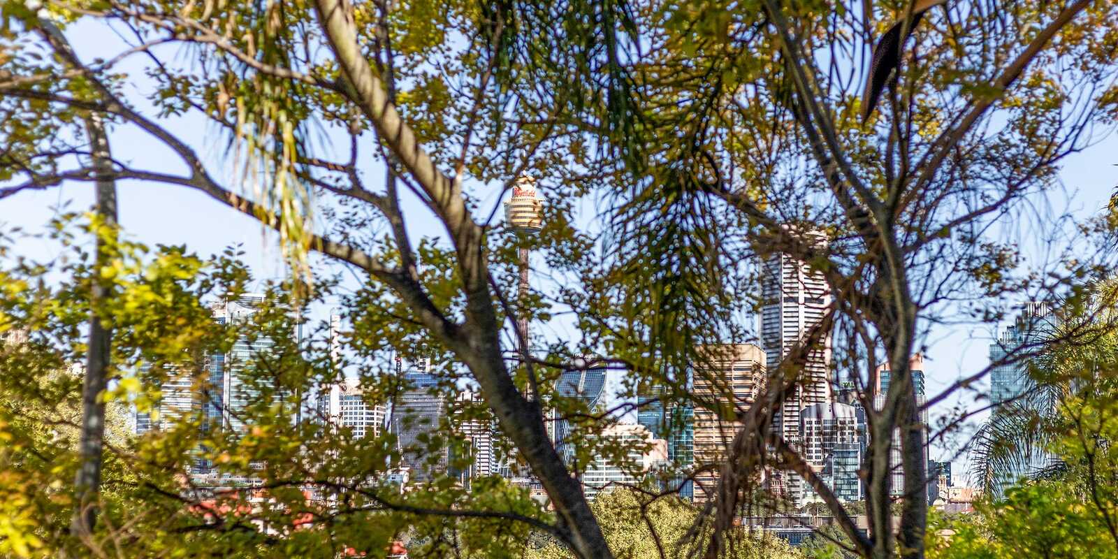 13/10 Challis Avenue Potts Point 13/10 Challis Avenue Potts Point