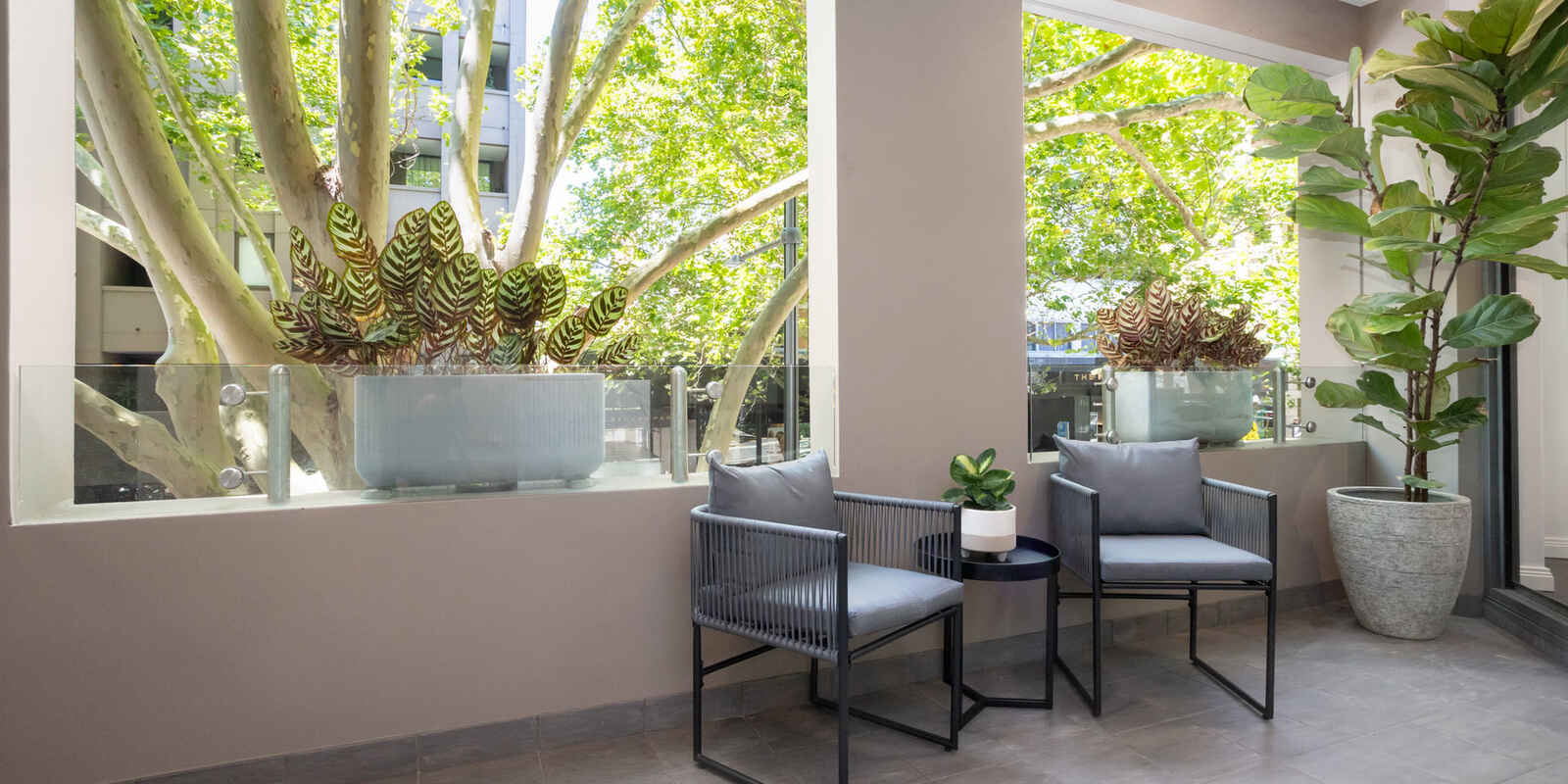 2/75 Macleay Street Potts Point