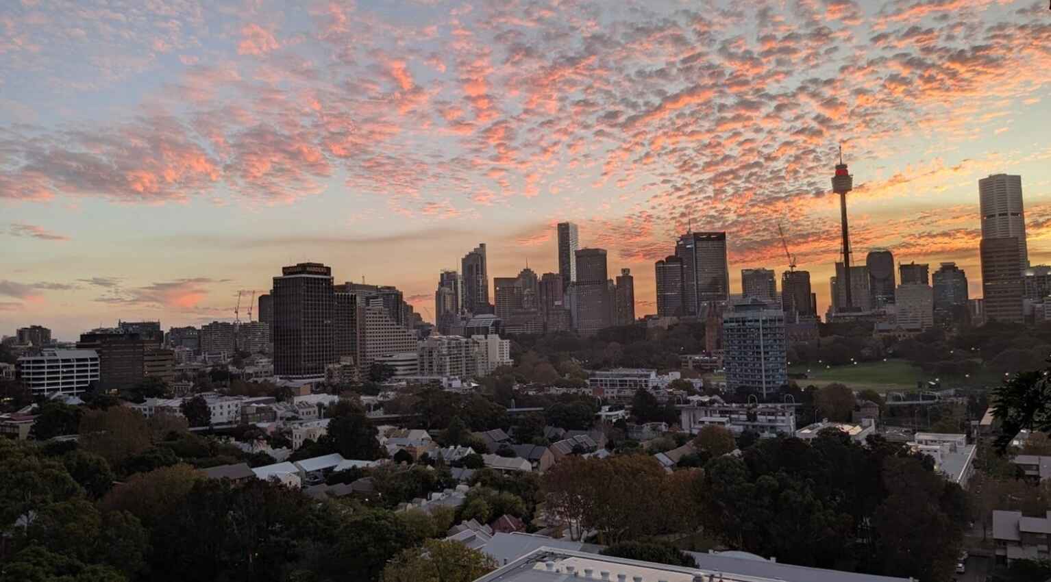 1904/73 Victoria Street Potts Point