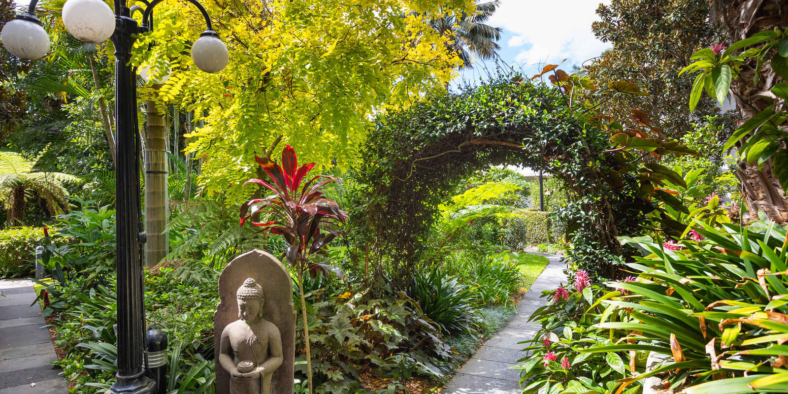 15/8a Wylde Street Potts Point