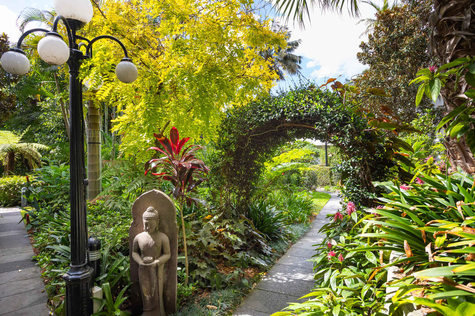 15/8a Wylde Street Potts Point