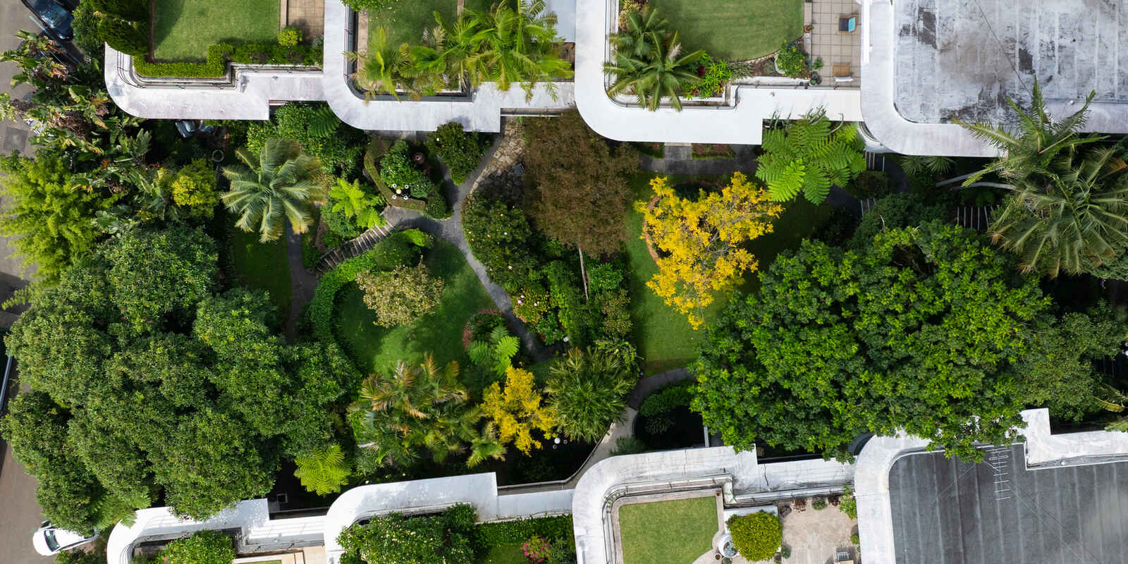 15/8a Wylde Street Potts Point