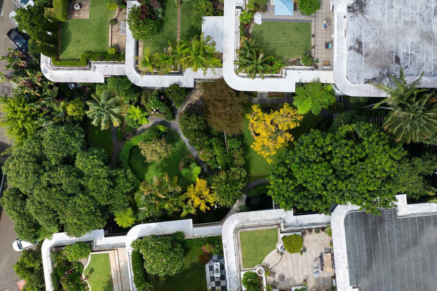 15/8a Wylde Street Potts Point