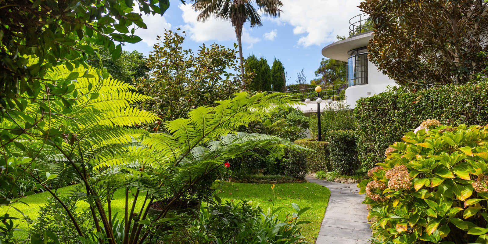 15/8a Wylde Street Potts Point