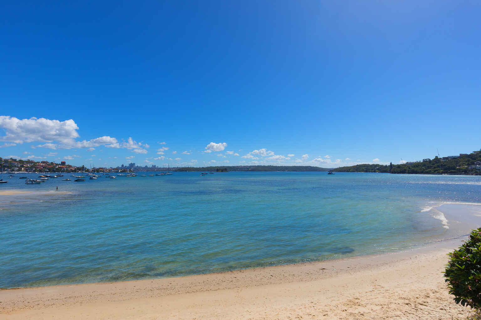 3/658a New South Head Road Rose Bay