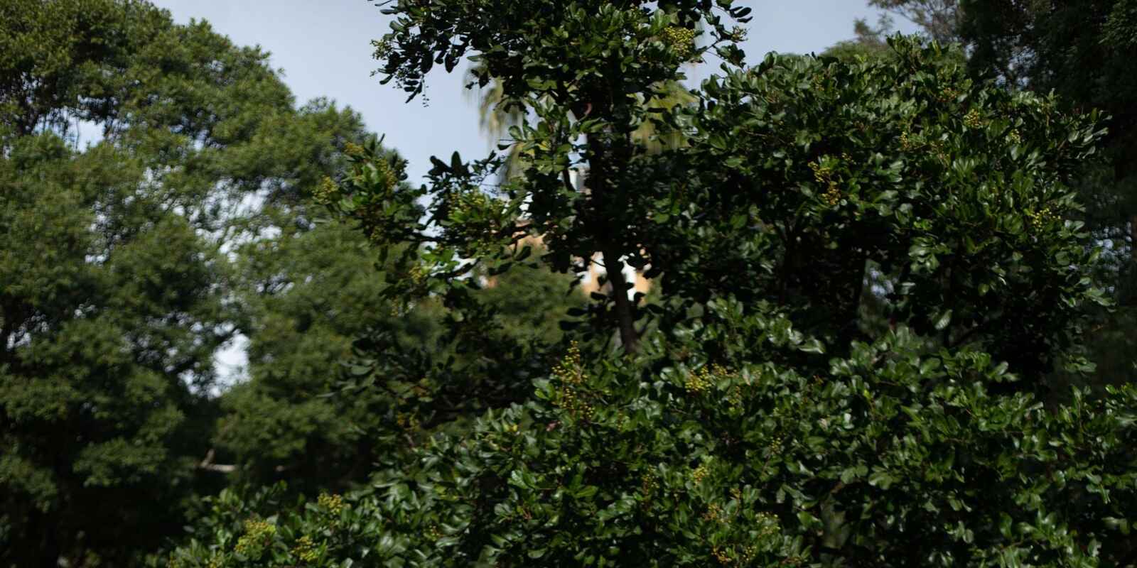 2/142-144 Francis Street Bondi Beach