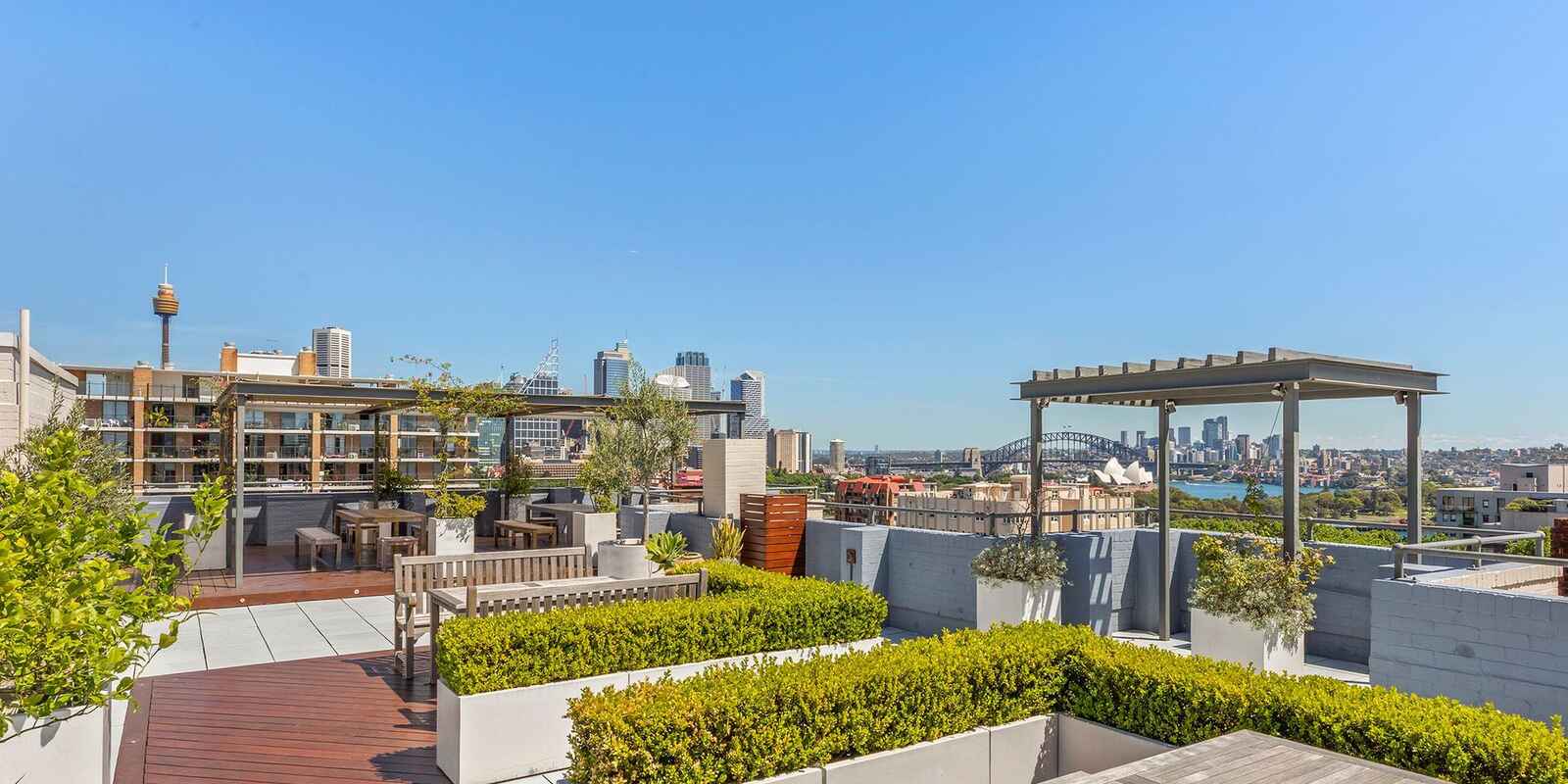 31/117 Macleay Street Potts Point