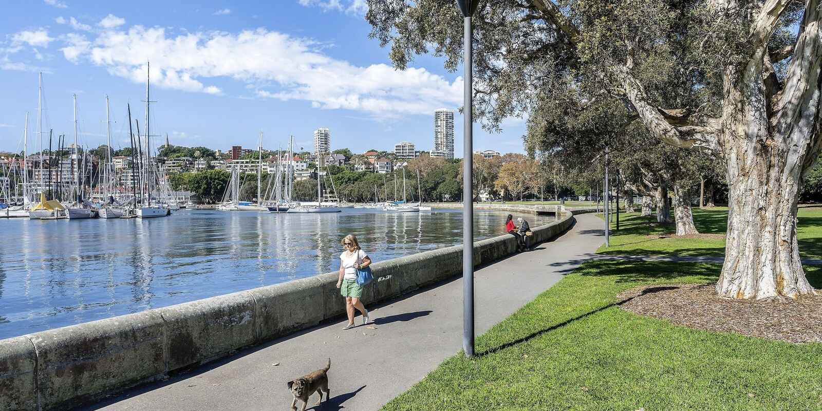 16/9-11 Queens Avenue Rushcutters Bay