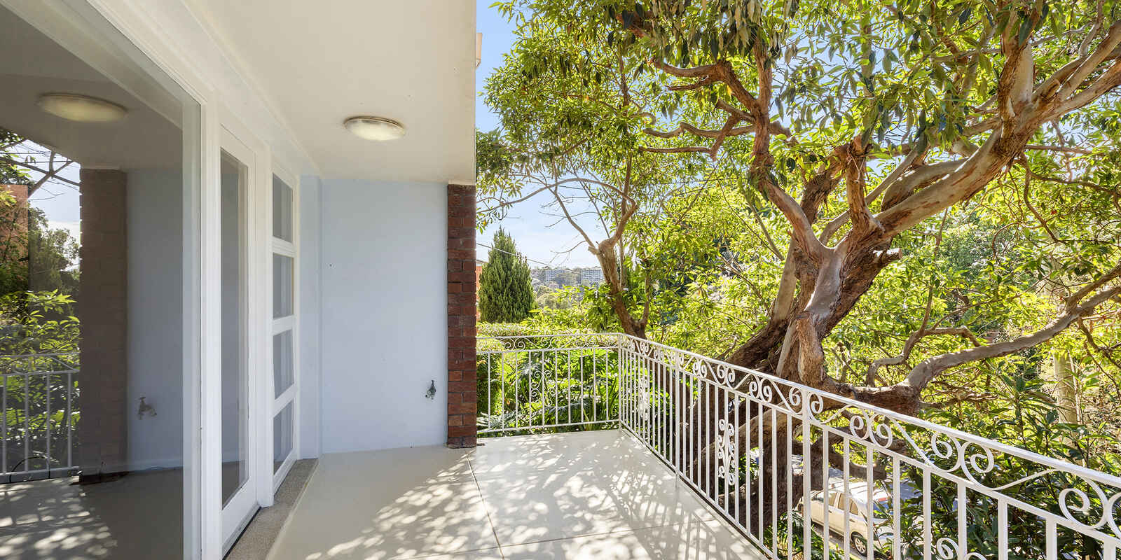8 Dudley Street Randwick