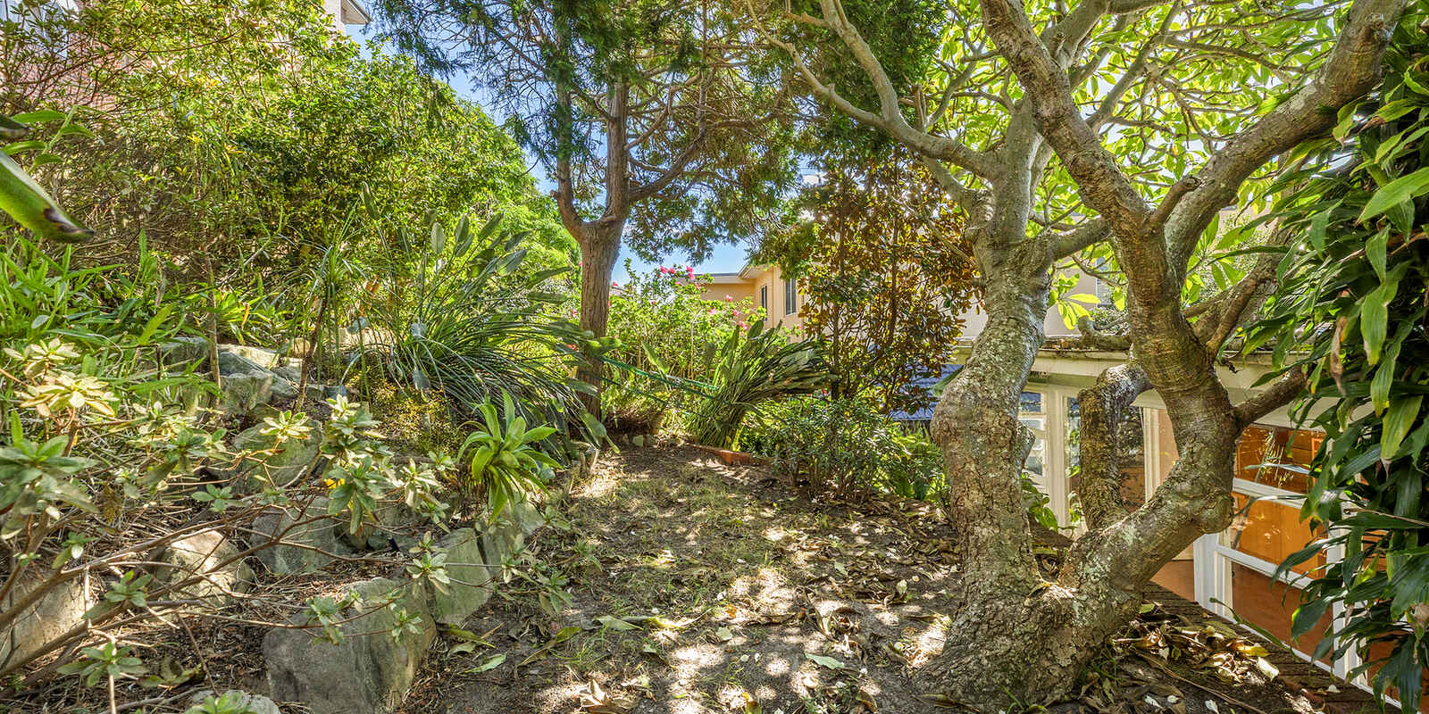 8 Dudley Street Randwick