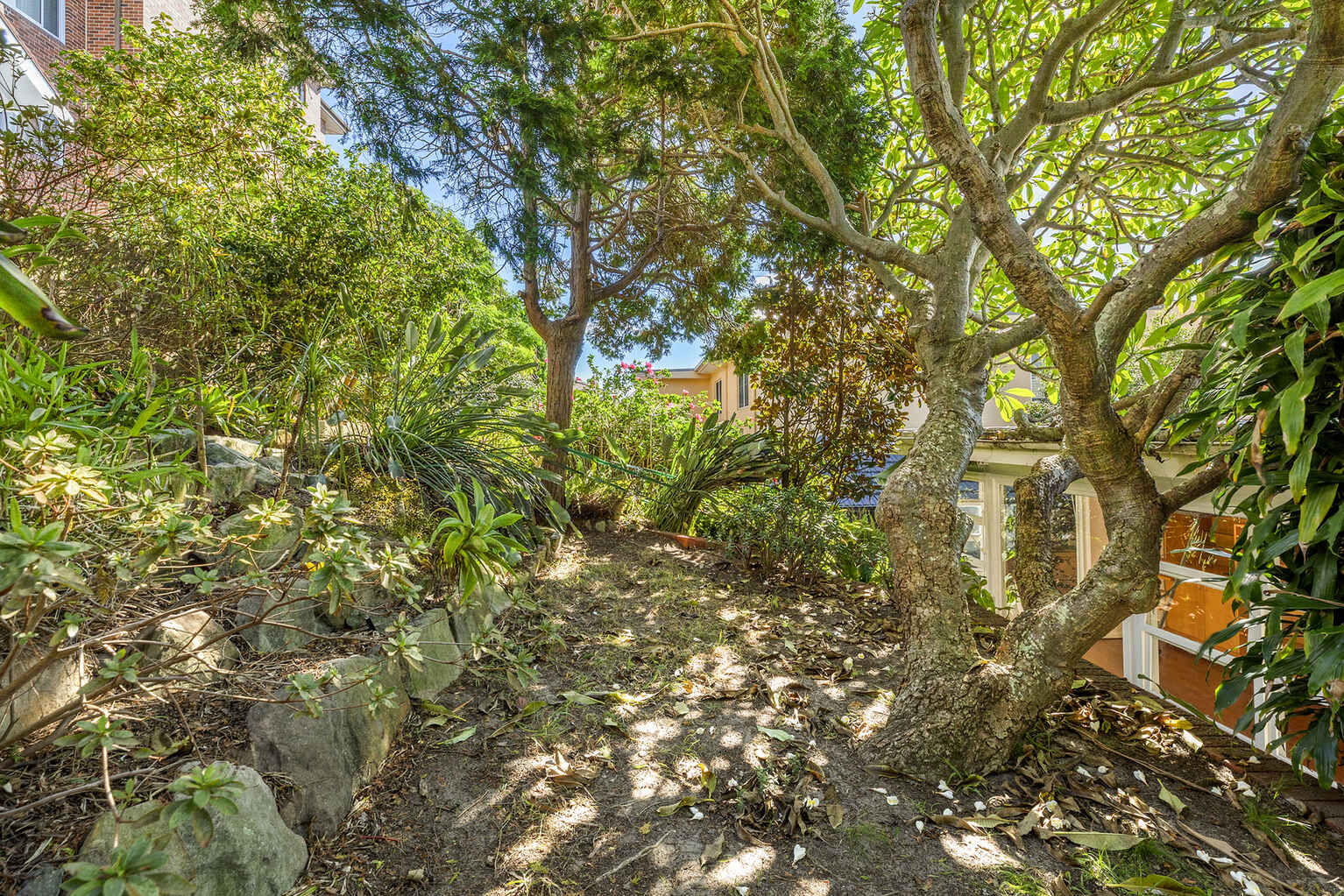 8 Dudley Street Randwick
