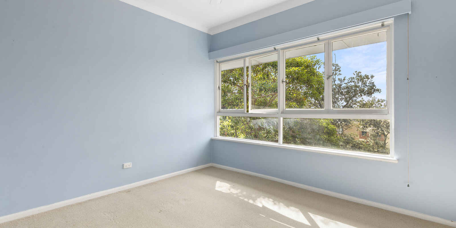 8 Dudley Street Randwick