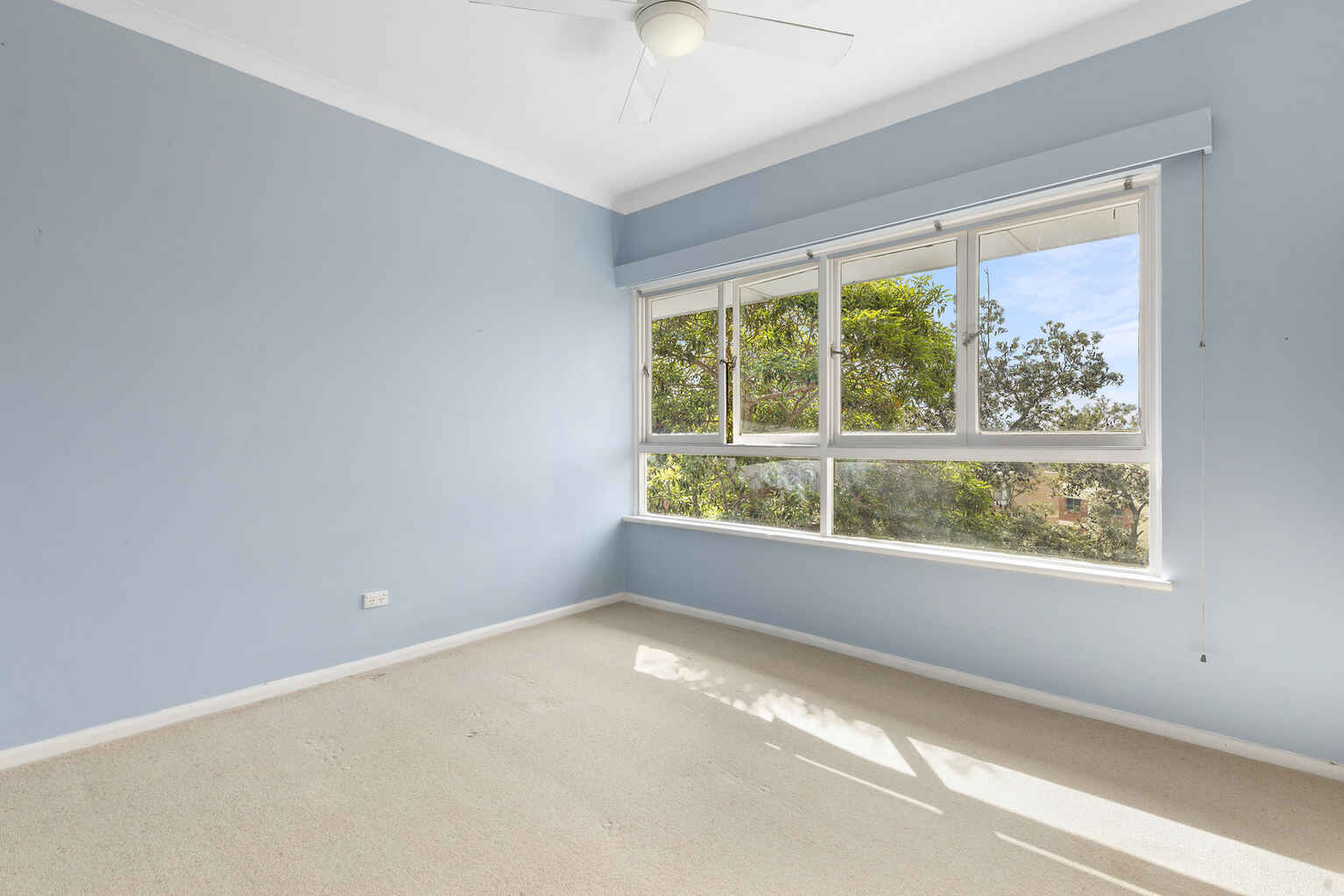 8 Dudley Street Randwick