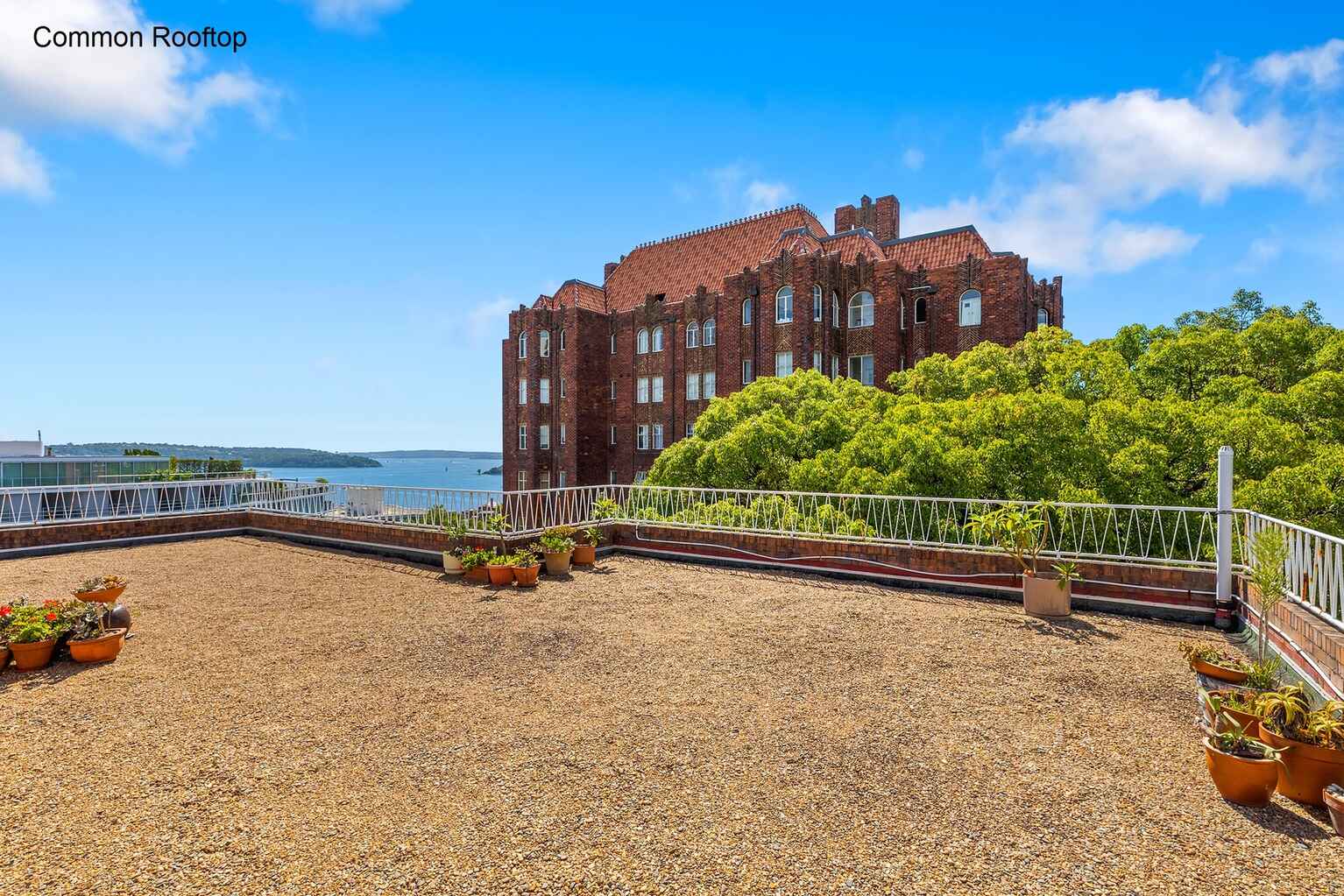 206/6A Birtley Place Elizabeth Bay