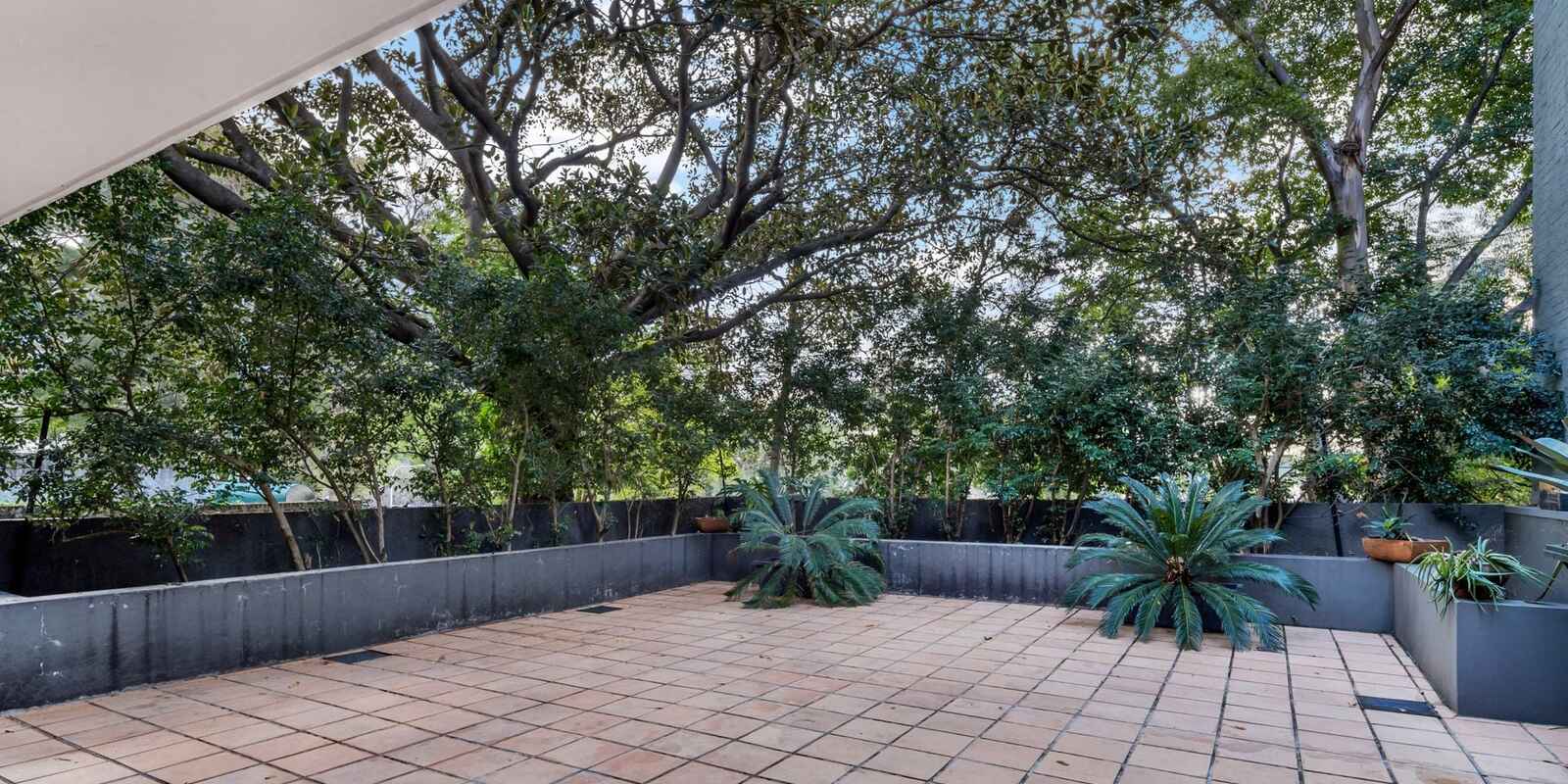 1/187 Bourke Street Darlinghurst