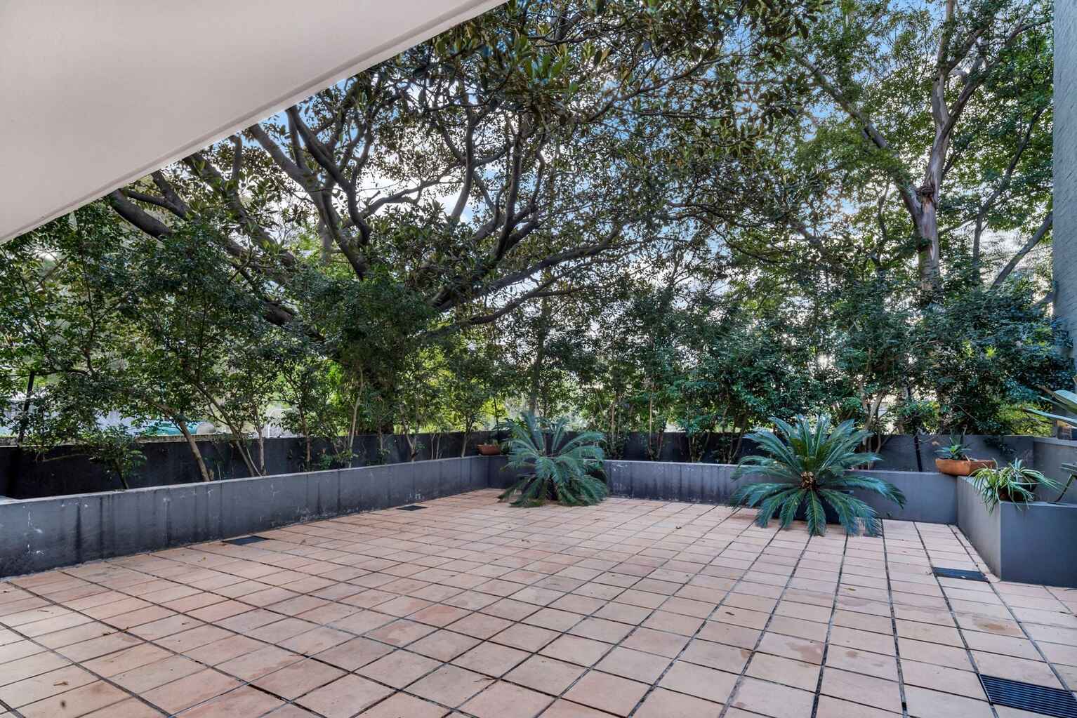1/187 Bourke Street Darlinghurst