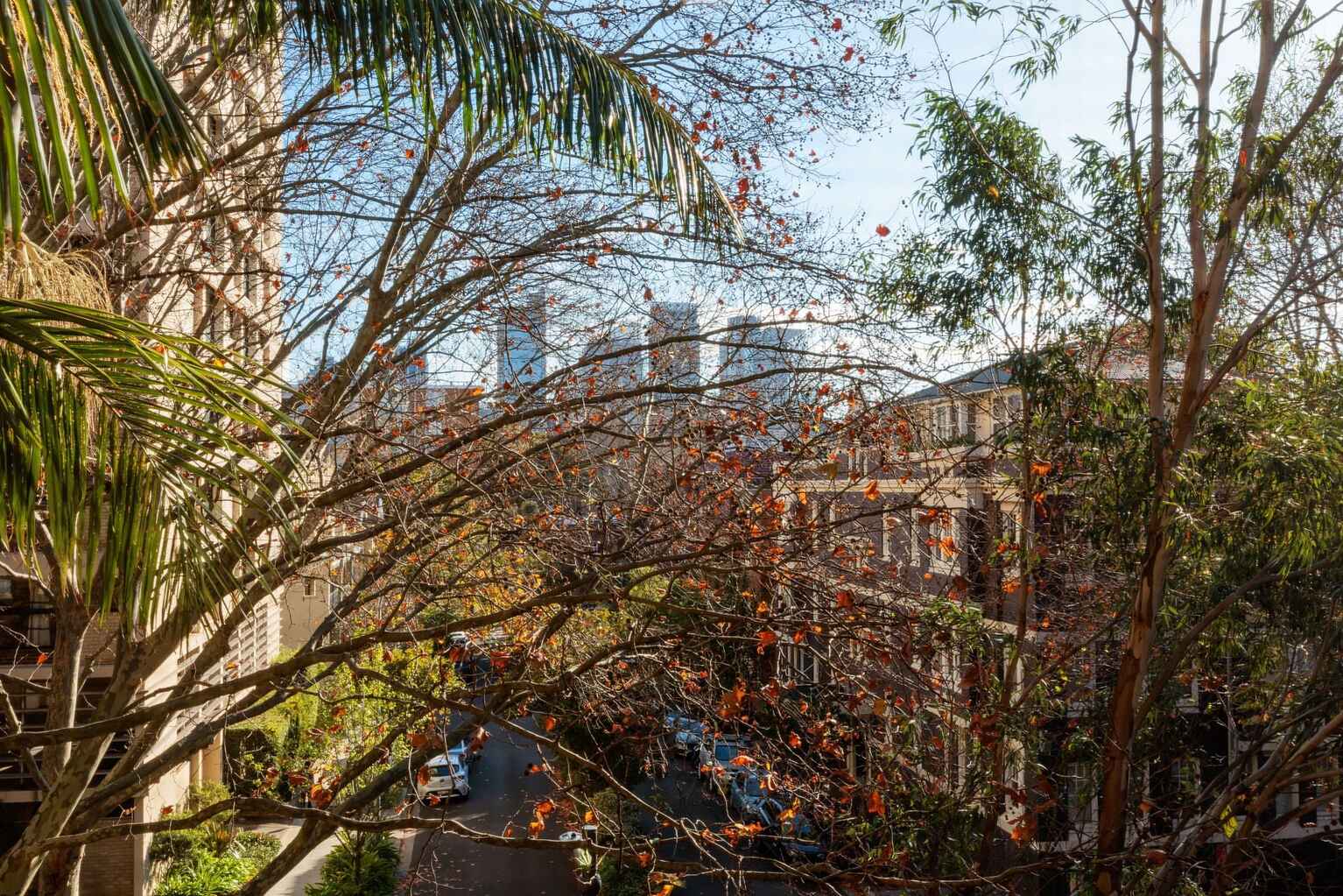 4E/6 Macleay Street Potts Point