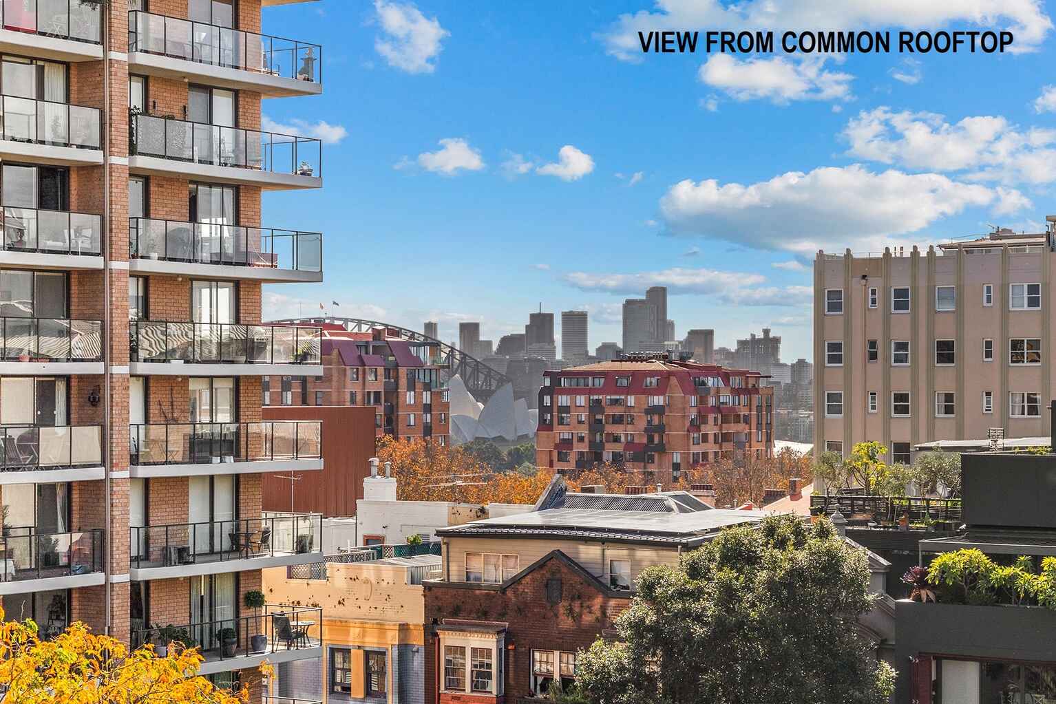 36/18 Springfield Avenue Potts Point