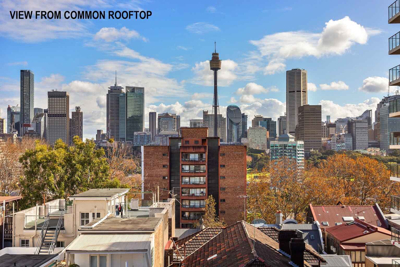 36/18 Springfield Avenue Potts Point
