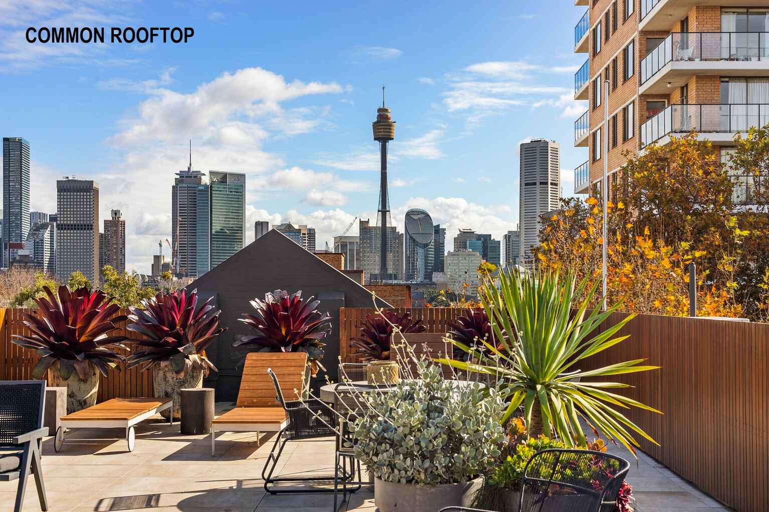 36/18 Springfield Avenue Potts Point