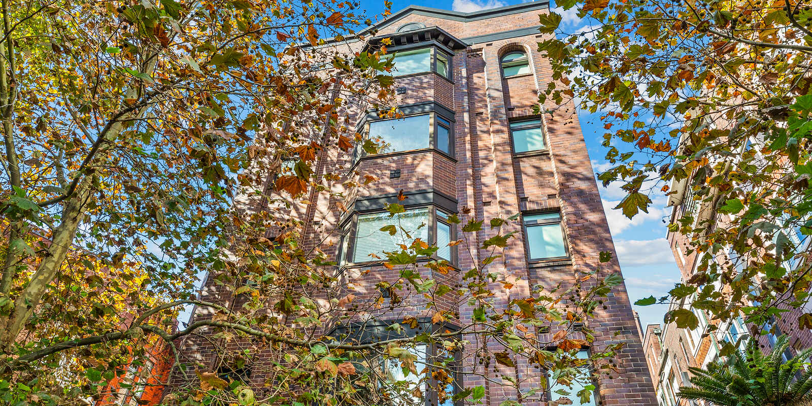 36/18 Springfield Avenue Potts Point