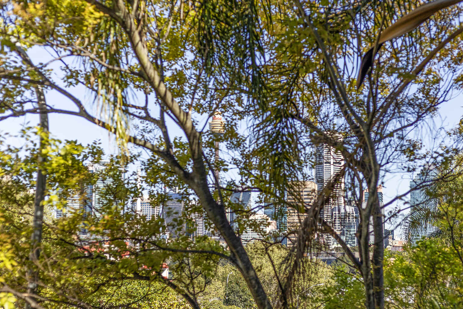 13/10 Challis Avenue Potts Point