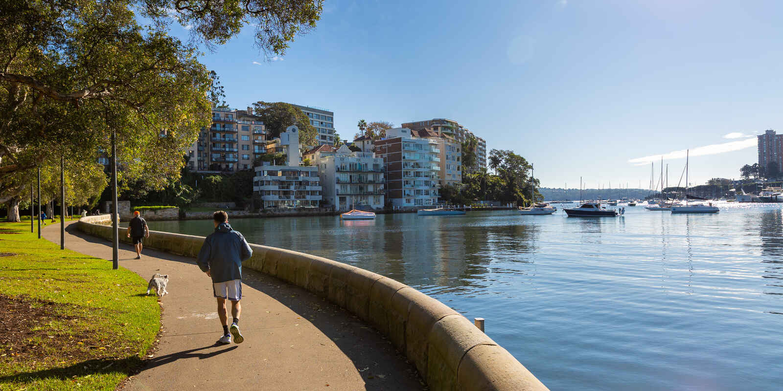 5/2 Waratah Street Rushcutters Bay