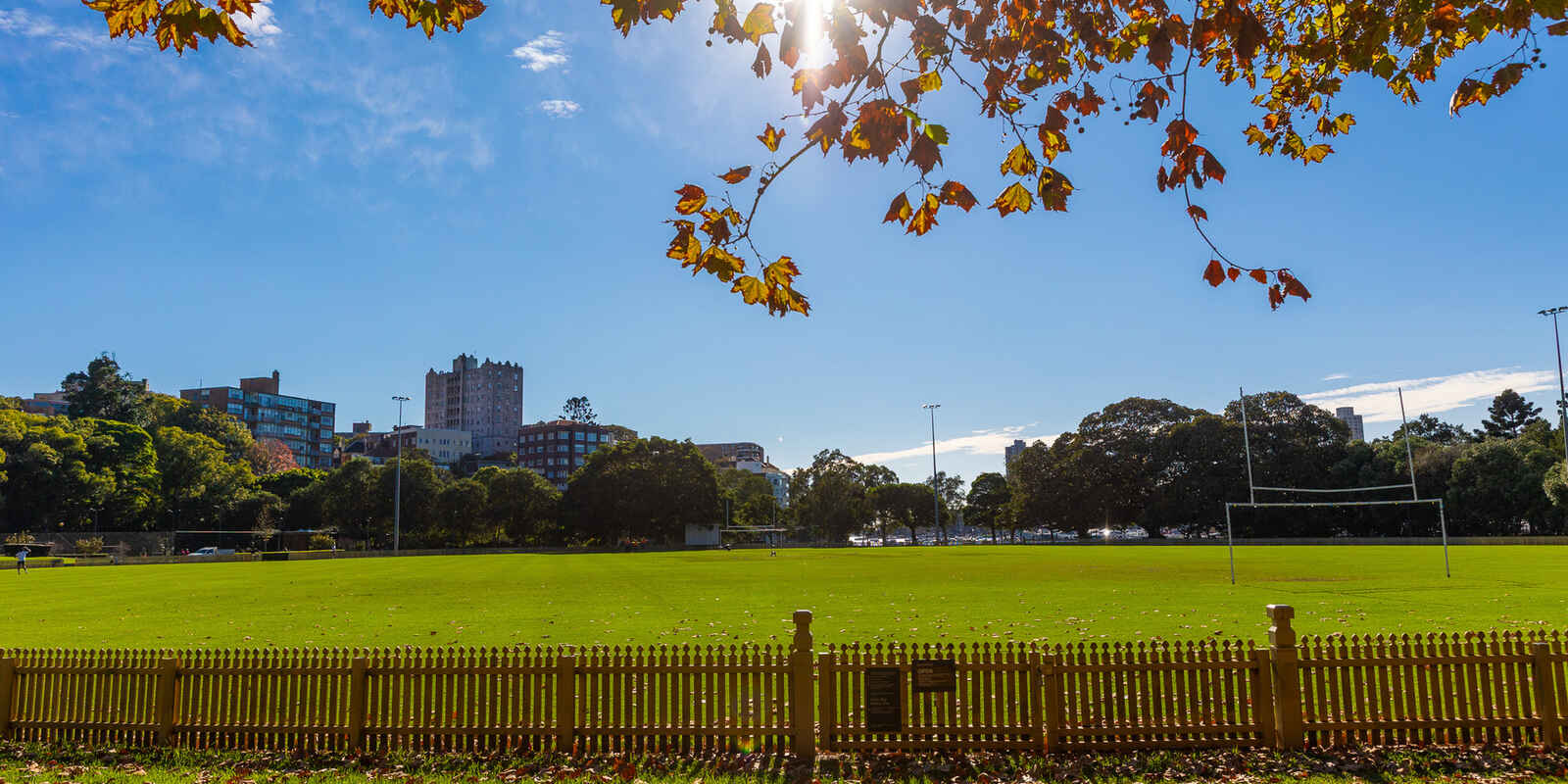 5/2 Waratah Street Rushcutters Bay