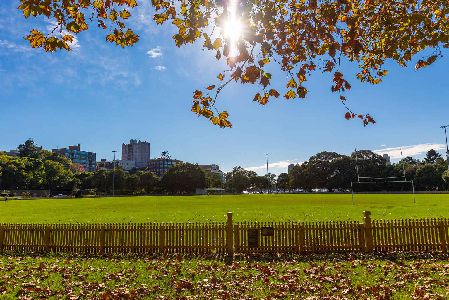 5/2 Waratah Street Rushcutters Bay